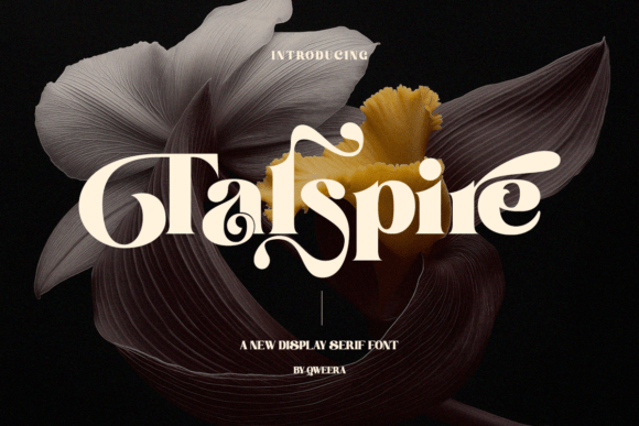 Elevate Web Design with Talspire Display Typeface