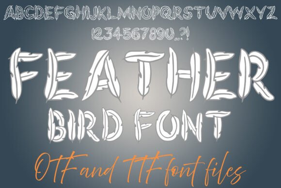 Feather Bird Font: A Display Typeface for Whimsical Web Design
