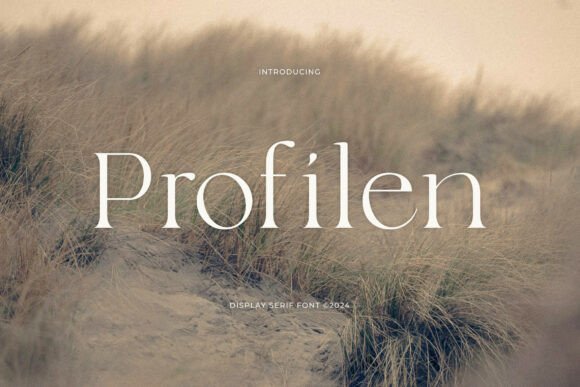 Profilen: The Serif Font That Elevates Small Business Brands